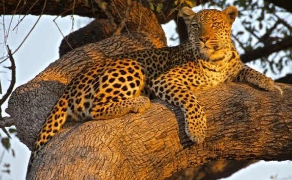 4 Days Tanzania Family safari | Kizza Adventure